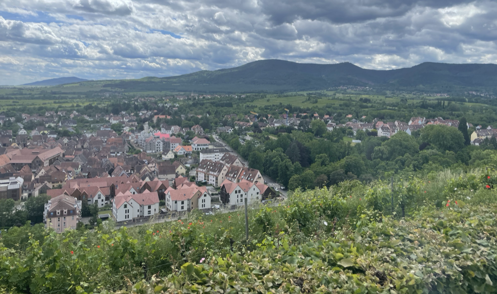 Alsace
